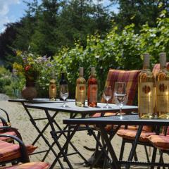 Penzion v rodinném vinařství Kadubcovi