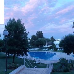 Jeannie's Oura Estrela