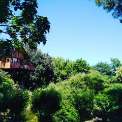 Casa sull'Albero Awen del Casale LaBandita