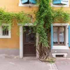 Travel Homes -The Cigogne, quiet & heart of Colmar