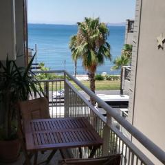 Athens Riviera apt with seaview, 15' to Acropolis