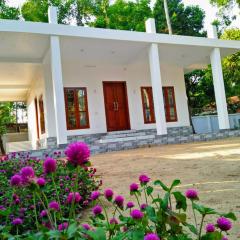 Coconut Garden