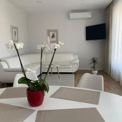 Apartamentai Fortuna