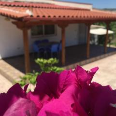 Guesthouse Nedin
