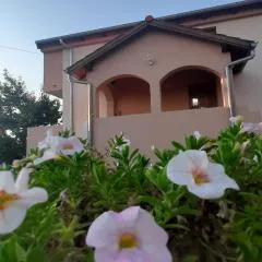 Apartments Cherry