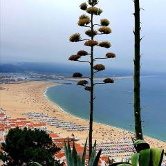 Alojamento Madeira