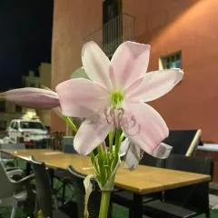 Restaurant & Rooms Cabrit