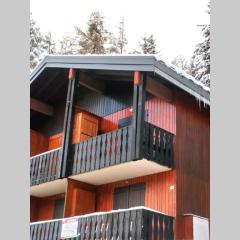 appartement en chalet au pied des pistes