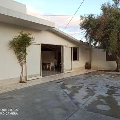 Casa degli Spartani Pina