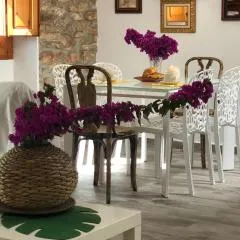 Tutu llar ús turistic