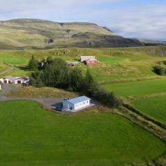 Selfell Guesthouse by Stay Iceland