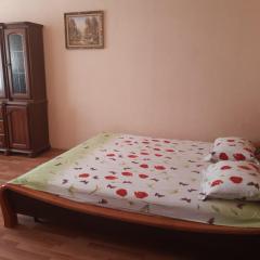 Apartment on Lyali Ratushnoy