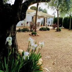 La Casa del Abuelo Jose