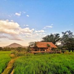 Wanmai Farm Stay Muangkong วันใหม่ฟาร์มสเตย์ เมืองคอง เชียงดาว