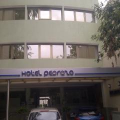 Hotel Pedraza