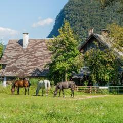 Charming blacksmith`s house @ Lake Bohinj