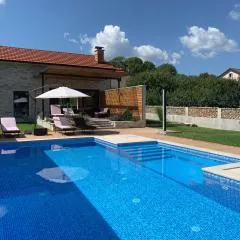 Kameni dvori