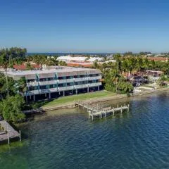 Anna Maria Island Beach Palms 7A