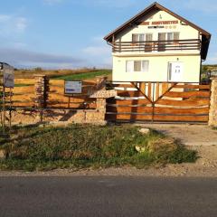 Pensiunea agroturistica Casa Sirca