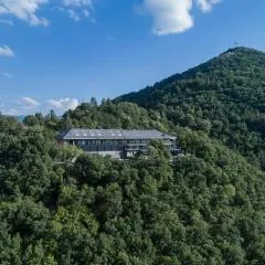 The Lynx Mountain Resort
