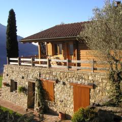 chalet in legno