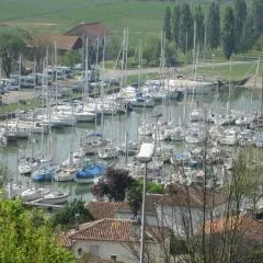 Grande maison charentaise avec vue sur le chenal superbes couchés de soleil sur l estuaire de la gironde!