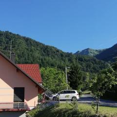 Apartments Laznica