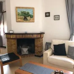 Sota Picasso
