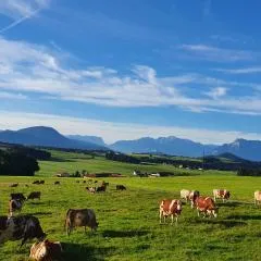 Idyllische Designer-Apartments am Bio-Bauernhof in SalzburgerSeenland Schmiding 10