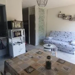 Studio 4 à 5 personnes Saint Jean Montclar