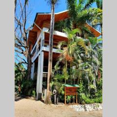 Entire Nosara Tree House
