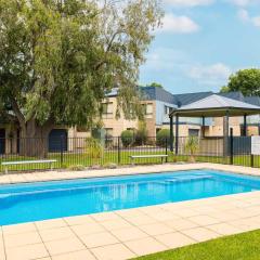 Penguins by the Beach