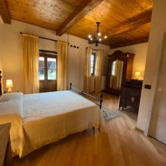 Bed and Breakfast La Volpe tra le Vigne