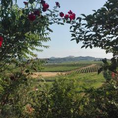 Agriturismo La Chiesina