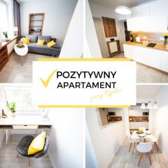 Pozytywny Apartament przy Rynku