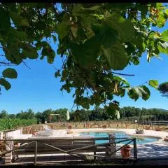 MARISMA