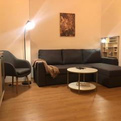 Apartament Ultracentral, Universitate