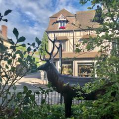 Gite Hotel de maître centre village la Chapelle