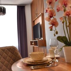 Blaumana Residence Apartment in Riga center