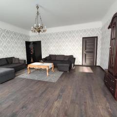 Chelsea Roosi 11 Apartment