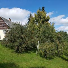 Ferienwohnung im Obstgarten