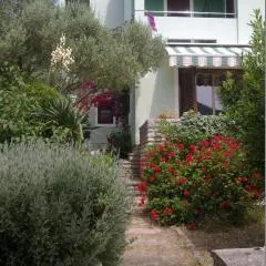 Apartments Miletić