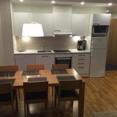 Ruka Chalets 1302