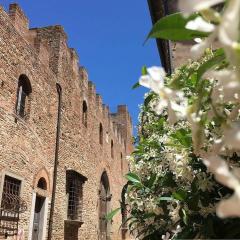 Palazzo Stiozzi Ridolfi