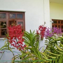 Orchid Sunset Guest House