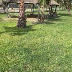 Casa Colibrí, Palapas y Jardines con acceso privado a La Playa Rosendo Nieblas