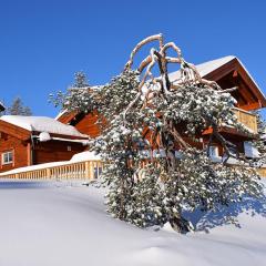 Hyggelig Blikk - Mountain Cabin with Sauna & Ski Access