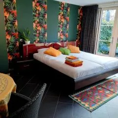 de Notenbalk aan Zee