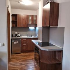 Double Studio near SKI Lift - Bansko