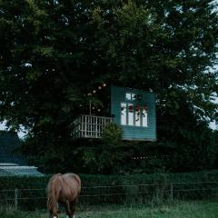 Treehouse escape